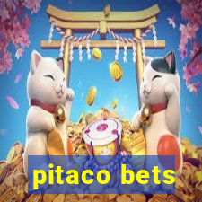 pitaco bets