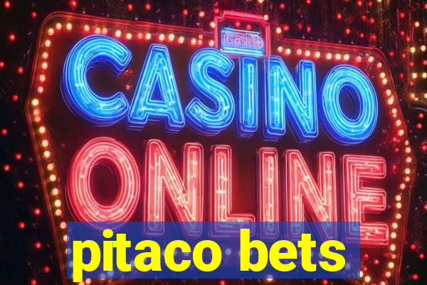 pitaco bets