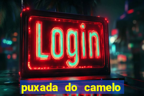 puxada do camelo jogo do bicho