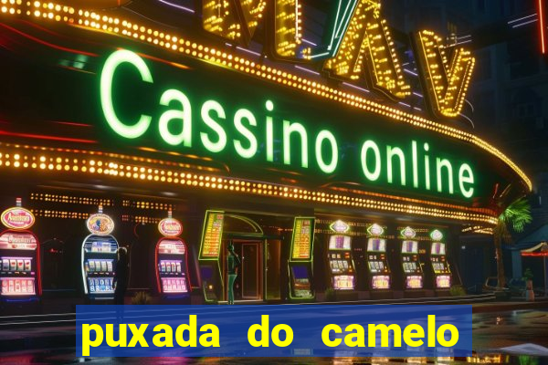 puxada do camelo jogo do bicho