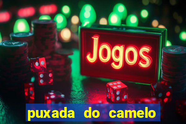 puxada do camelo jogo do bicho