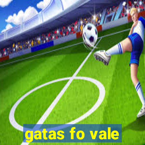 gatas fo vale