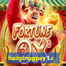 hairpinpgpay1.com