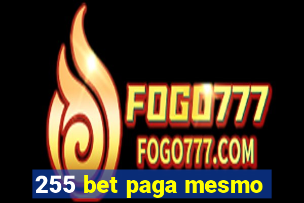 255 bet paga mesmo