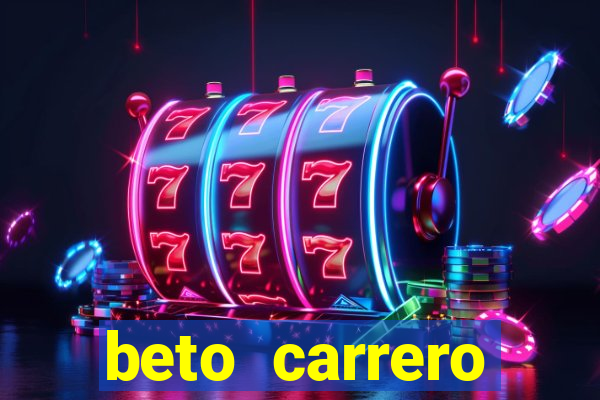 beto carrero cidades proximas