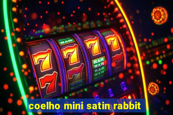 coelho mini satin rabbit