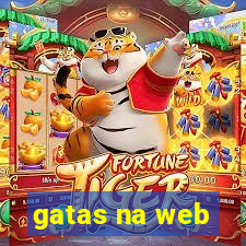 gatas na web