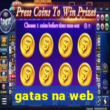 gatas na web