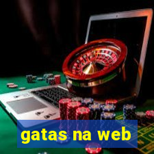 gatas na web