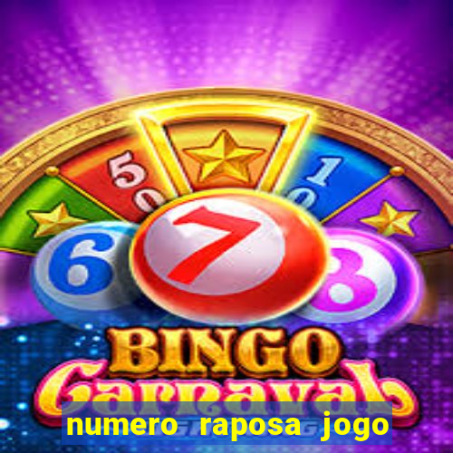 numero raposa jogo do bicho