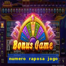 numero raposa jogo do bicho