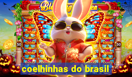 coelhinhas do brasil