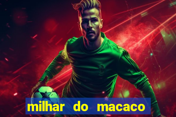 milhar do macaco que mais saem no jogo do bicho