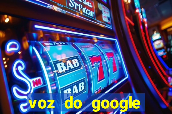 voz do google tradutor homem