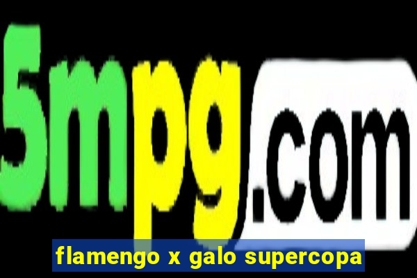 flamengo x galo supercopa