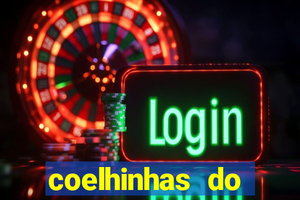 coelhinhas do brasil acompanhantes