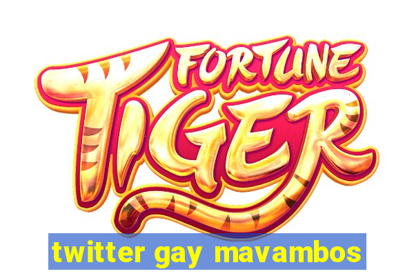 twitter gay mavambos