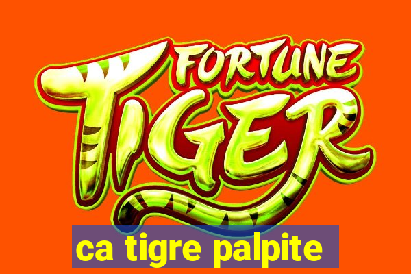 ca tigre palpite