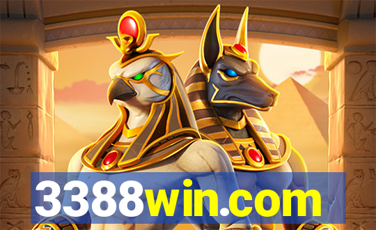 3388win.com