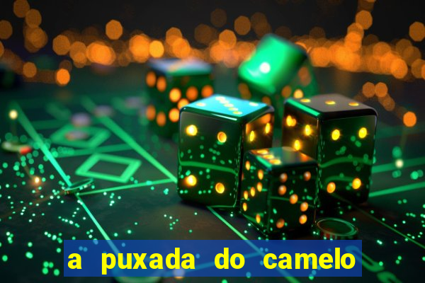 a puxada do camelo no jogo do bicho