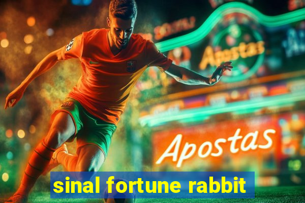 sinal fortune rabbit