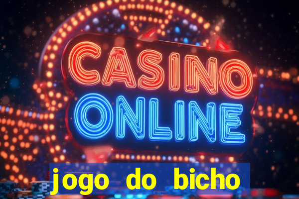 jogo do bicho crash bingo