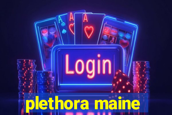 plethora maine