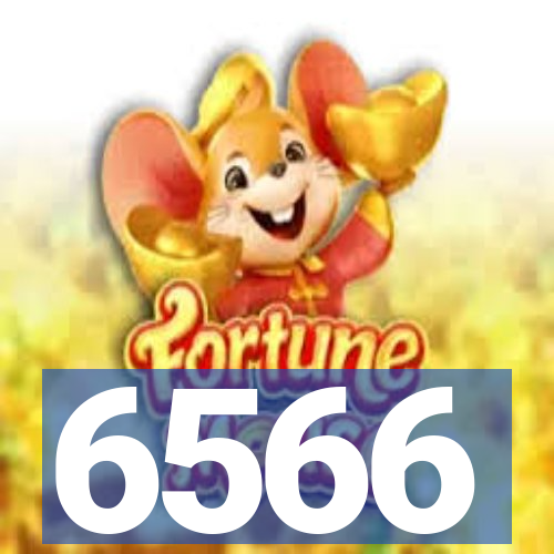 6566