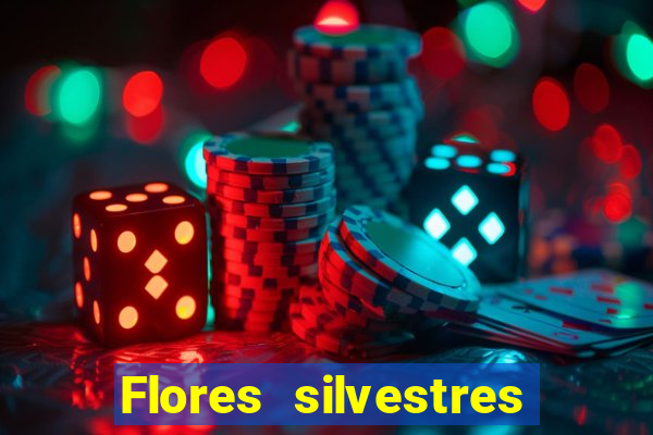 Flores silvestres brasileiras 25