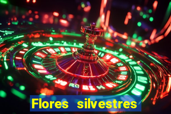 Flores silvestres brasileiras 25