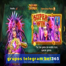 grupos telegram bet365