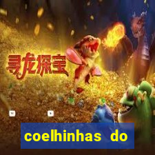 coelhinhas do brasil site