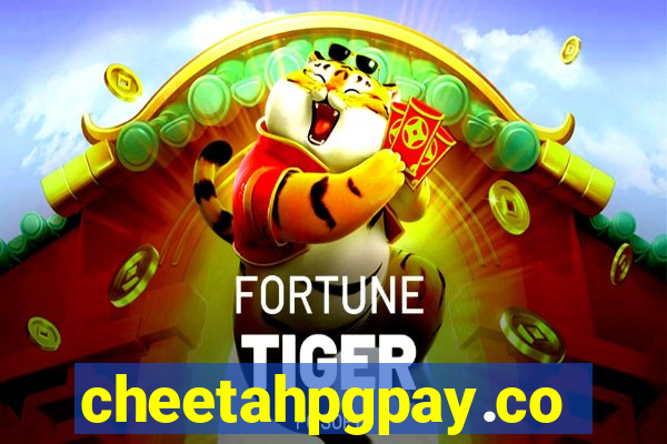 cheetahpgpay.com