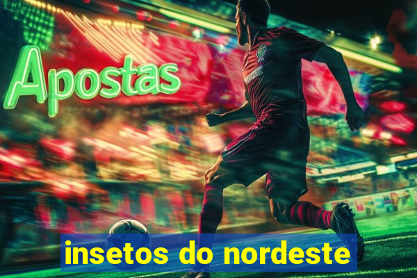 insetos do nordeste