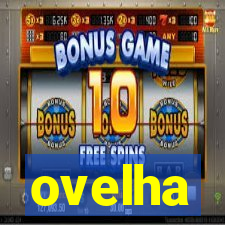 ovelha