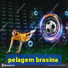 pelagem brasina