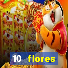 10 flores silvestres desbravadores