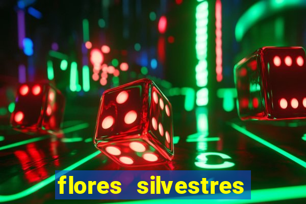 flores silvestres desbravadores desbravadores 25 flores silvestres e seus nomes