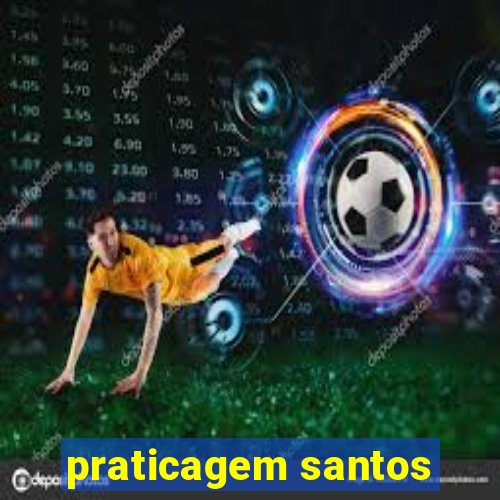 praticagem santos