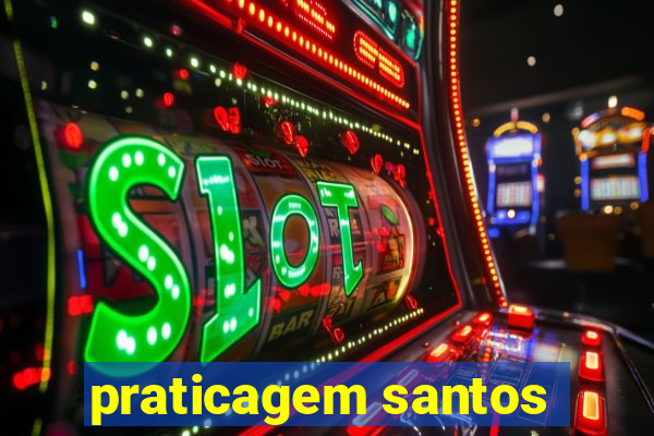 praticagem santos