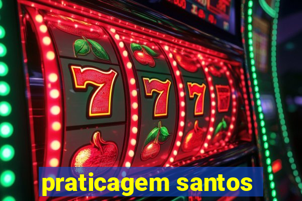 praticagem santos