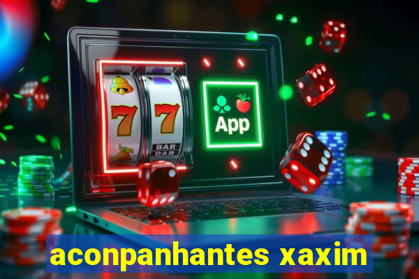 aconpanhantes xaxim