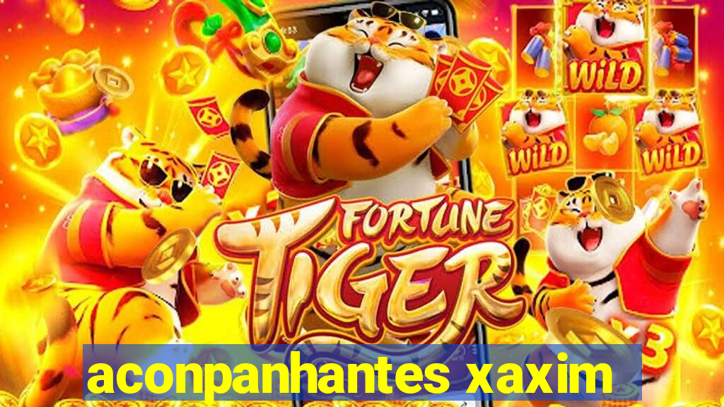 aconpanhantes xaxim