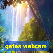 gatas webcam