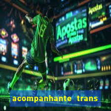 acompanhante trans porto seguro