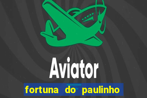 fortuna do paulinho do roupa nova