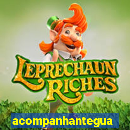 acompanhanteguanambi