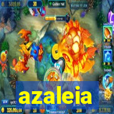 azaleia-br.com