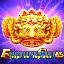 jogo do tigrinho falso para brincar