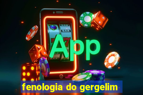 fenologia do gergelim